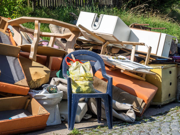 Best Electronics Removal Services  in Lake Wylie, SC
