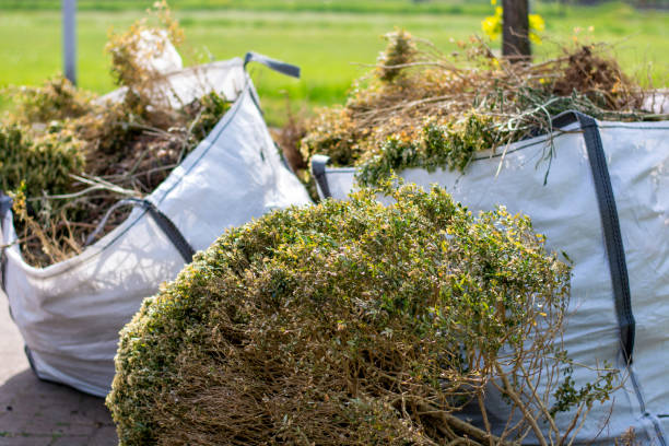 Best Affordable Junk Removal Services  in Lake Wylie, SC